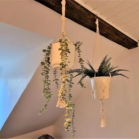 Appartamento Liebenswertes 10 Minuten Zur Altstadt Coblenza
